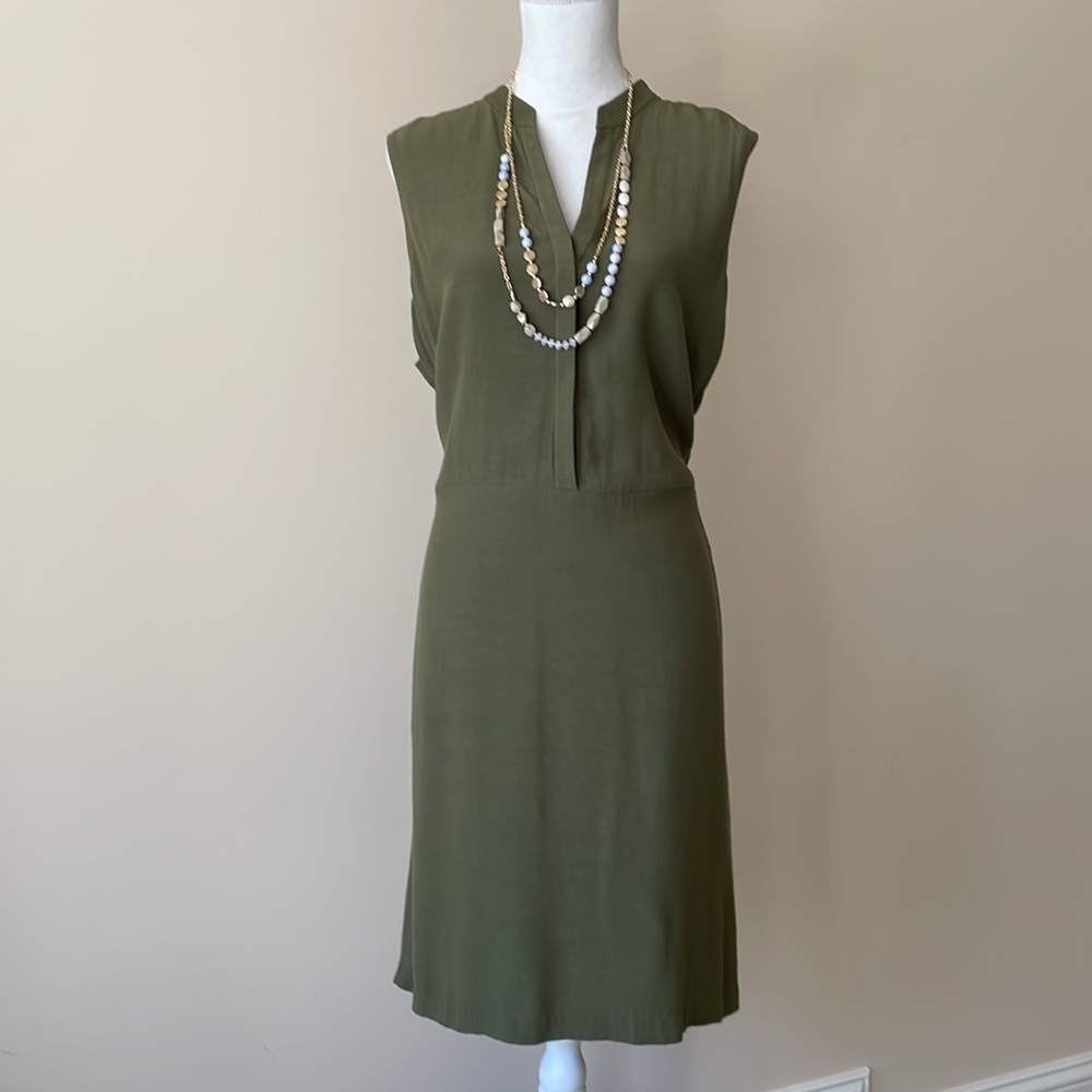 Ann Taylor Olive Dress